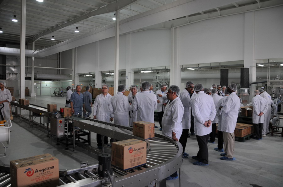 Angel Yeast held Mid East and Africa Distributors Conference in Cairo