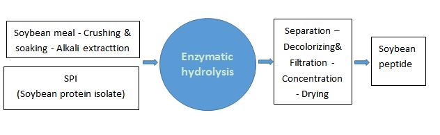 Production process of soybean peptide