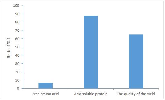 Application of complex enzyme ZF106 in soybean peptide production