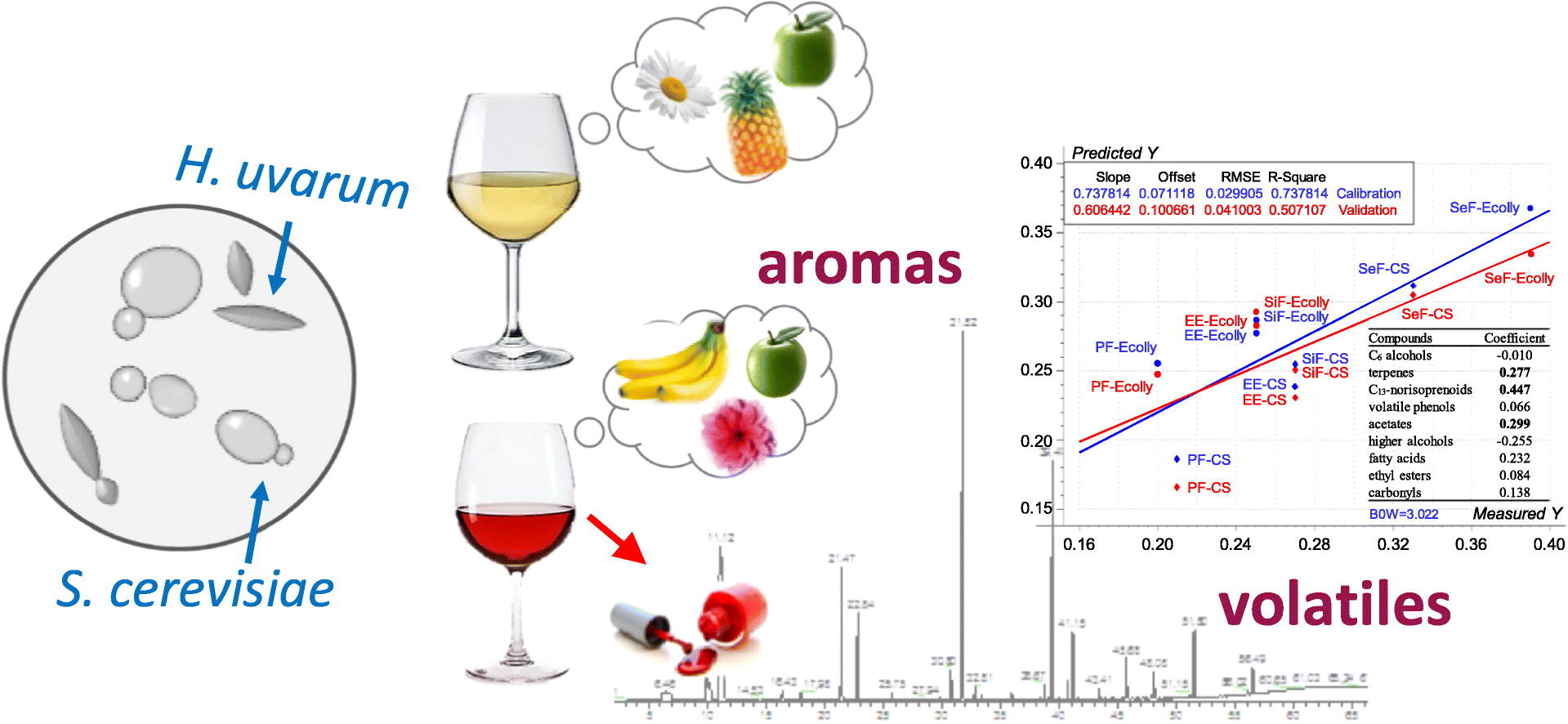Wine aroma response to different participation of selected Hanseniaspora uvarum in mixed fermentation with Saccharomyces cerevisiae