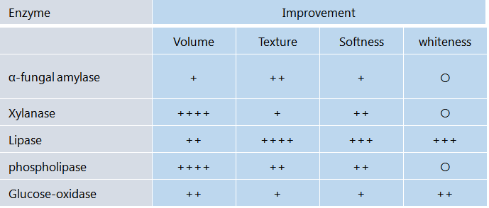 The effect of enzyme in baking