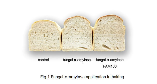 Much bread перевод. Evolution of Bread. Прошивка через Bread. Sunshine Bread twitch. Демо Bread and Fred концовка.