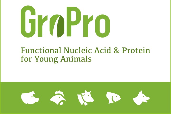 Studies on GroPro replacing SDPP in piglets' diet