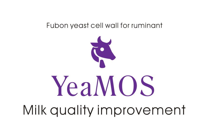The mechanism of YeaMOS improving milk quality
