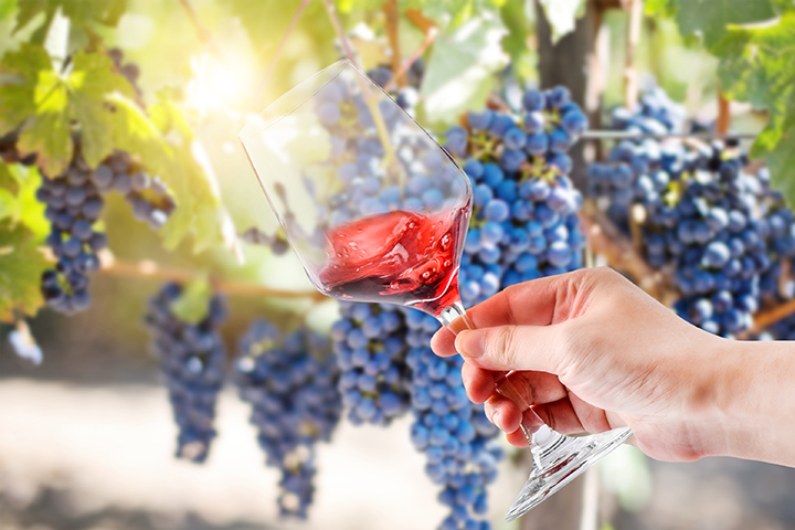 Organic nitrogen nutrients for wine fermentation
