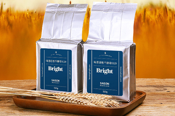 Bright yeast and Angel yeast launched a new saison brewers yeast S129 for craft beer brewery