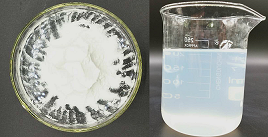Soluble yeast glucan and its soluble effect(by Angel Yeast).png