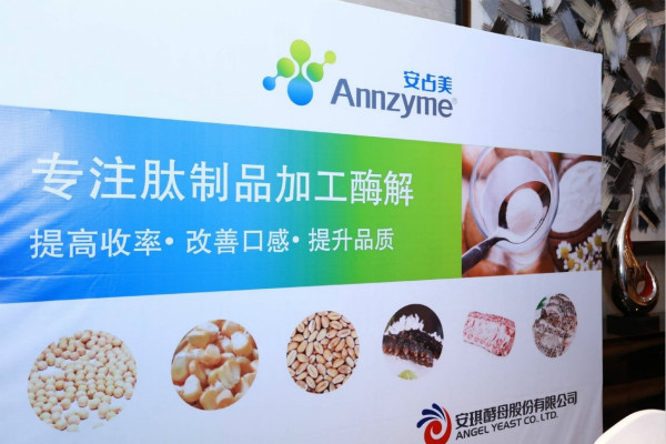Angel Special Enzymes Division has been deeply researching the characteristics of various protein raw materials, helping to improve the quality and taste of peptide final products.
