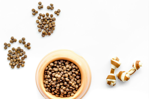 enzyme solutions for pet food palatability 