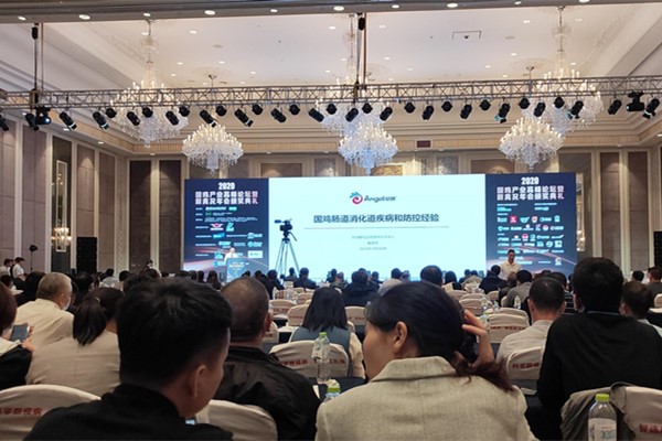 Fubon attends China Poultry Industry Forum 2020