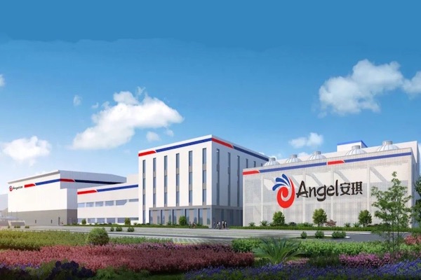 News-1 - Angel Yeast