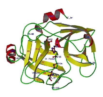 Essential knowledge for fermentation industry - what is peptone？