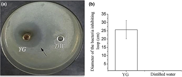 600vms3253-fig-0003-m_副本.jpg