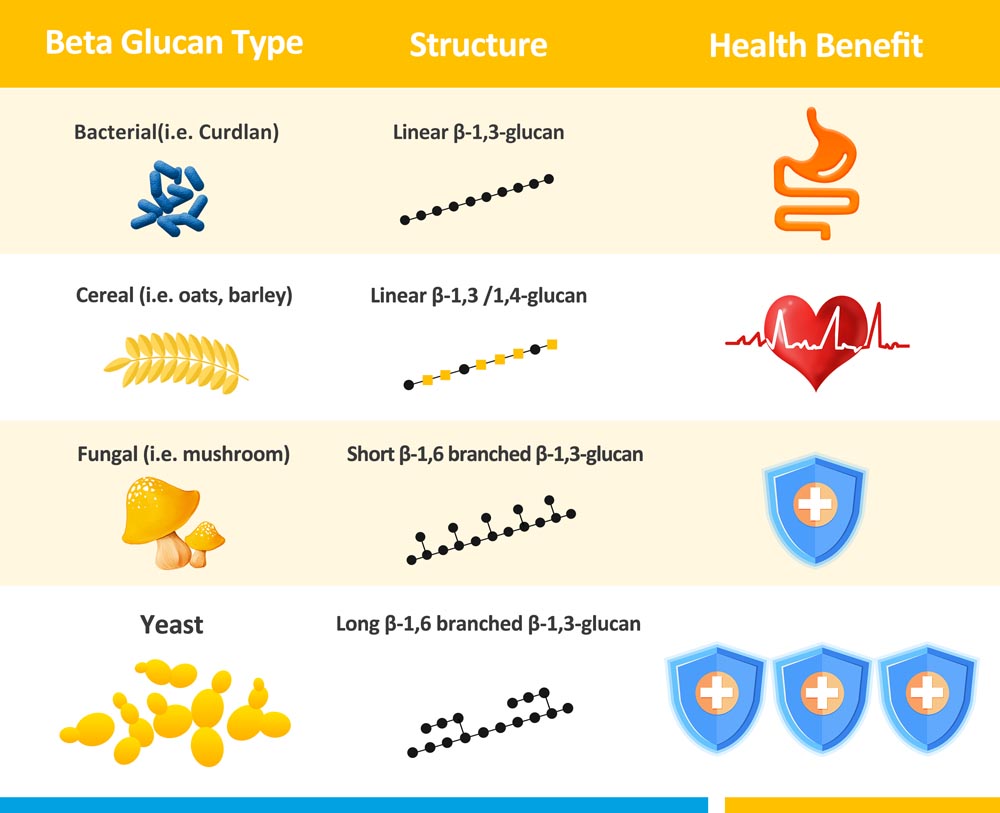 Beta-glucan là gì? Lợi ích của beta-glucan cho sức khỏe