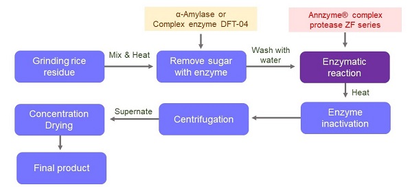 Annzyme enzymes working on rice protein.jpg