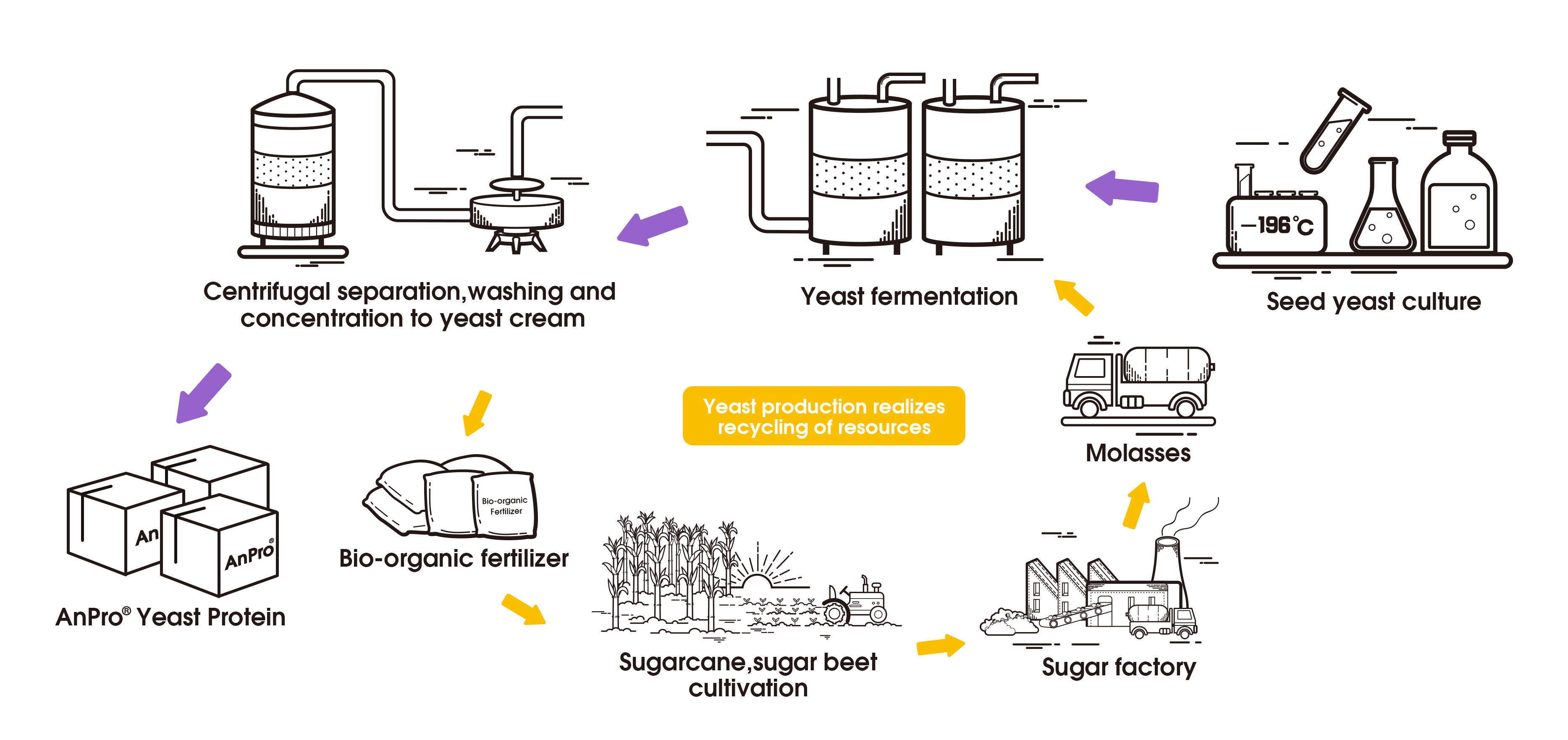 What is yeast? - Angel Yeast