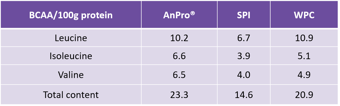 BCAA content comparing.png