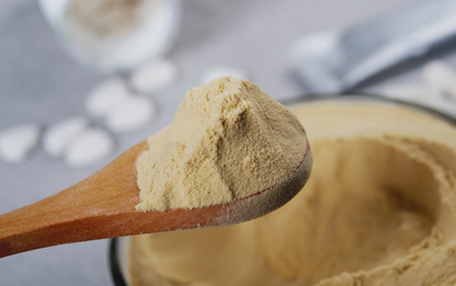 plant protein powder brands plant protein powder brands