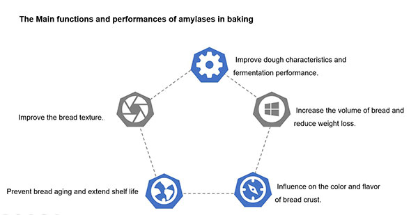 Alpha amylase uses