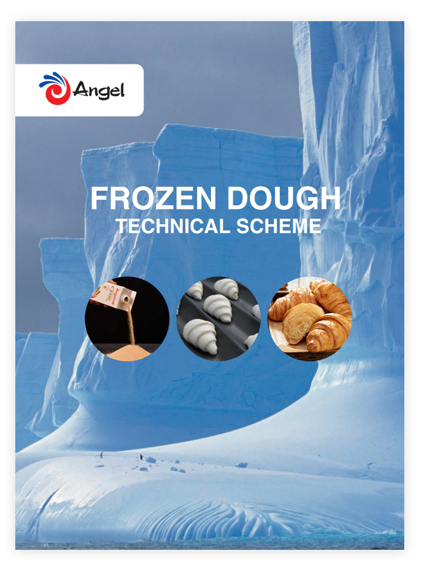 Frozen Dough Technical Scheme AngelYeast