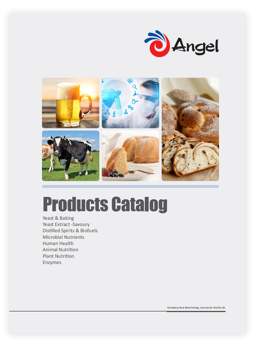Products Catalog of Angel - AngelYeast