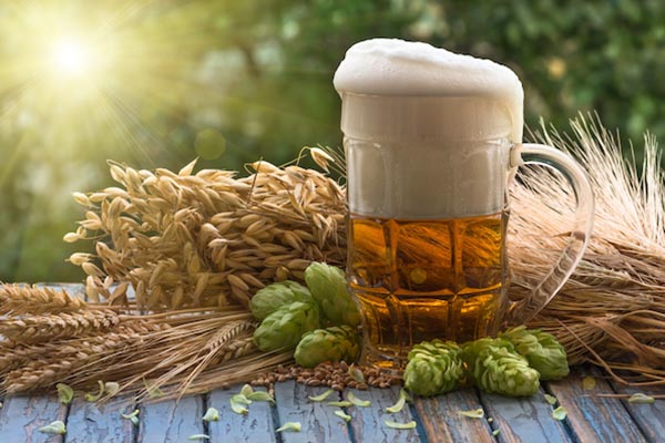 The effects of zinc on beer fermentation