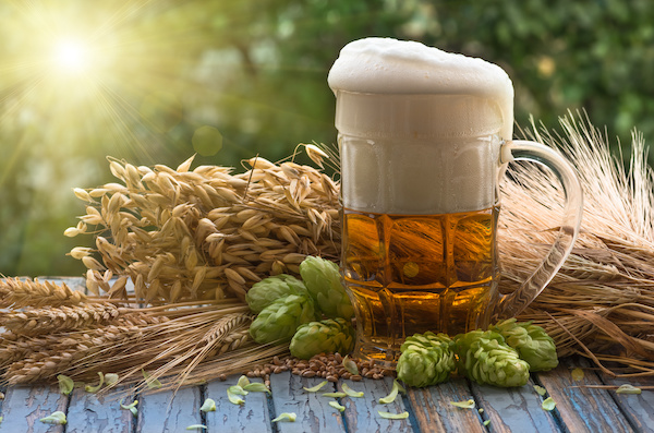 The effects of zinc on beer fermentation