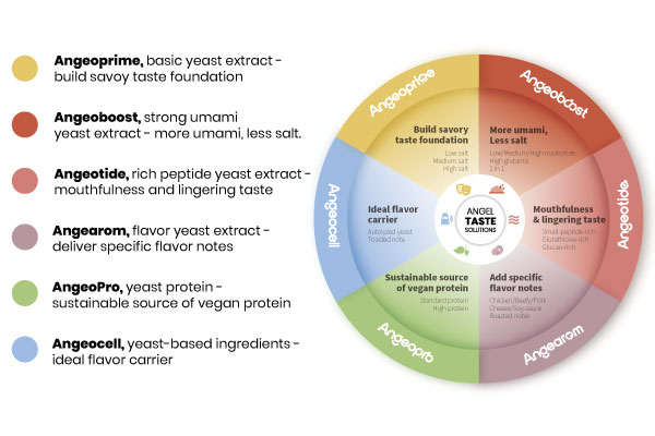 Angel Yeast debuts new range identity for taste solutions