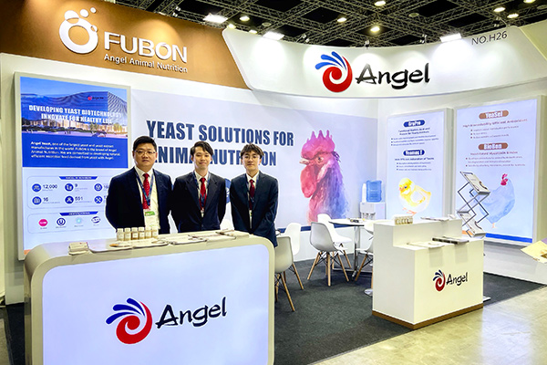 Witness Innovation Unleashed: Angel Yeast Showcases GroPro and YeaMOS T at Livestock Malaysia 2023!