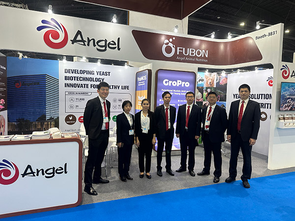 Angel Asia Pacific Division Attended VIV Asia 2023 in Thailand