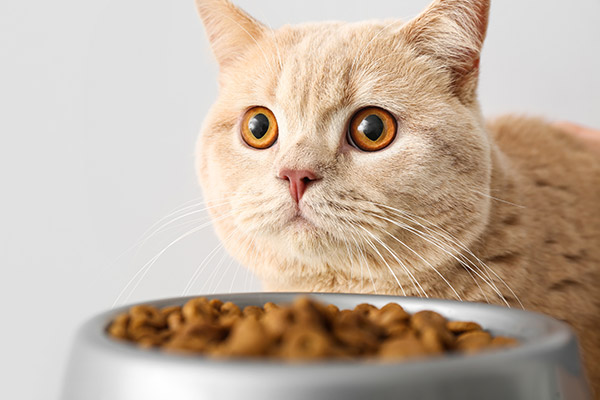 Yucca liquid supplier Yucca liquid supplier