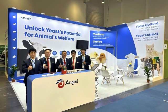 Advancing Animal Welfare: Angel Showcases Premium Yeast Solutions at EuroTier 2024