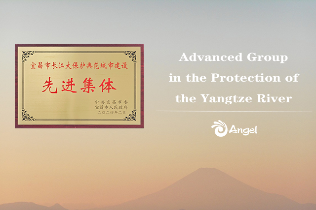 advanced-group-in-protection-of-Yangtze-river.jpg