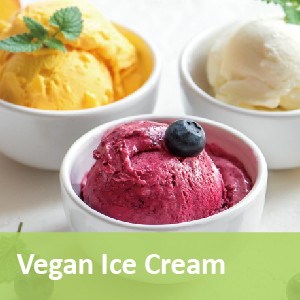 网页产品封面300x300px_vegan ice cream.jpg