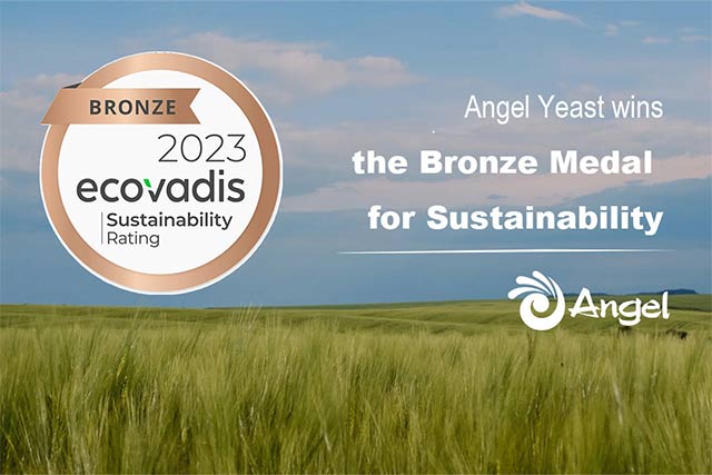 EcoVadis Rates Angel's CSR Performance at Good Level