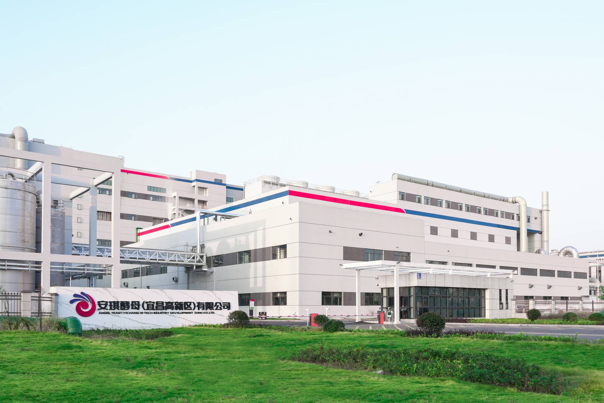 Angel Yeast starts Operating New 11,000-Ton Yeast Protein Production Line to Meet Global Demand for Sustainable Nutrition Angel Yeast starts Operating New 11,000-Ton Yeast Protein Production Line to Meet Global Demand for Sustainable Nutrition