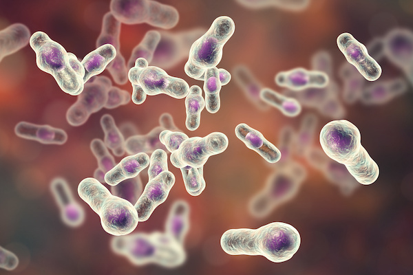 Nutrient-Enriched Yeast Extract Enhances Microbial Growth Rate