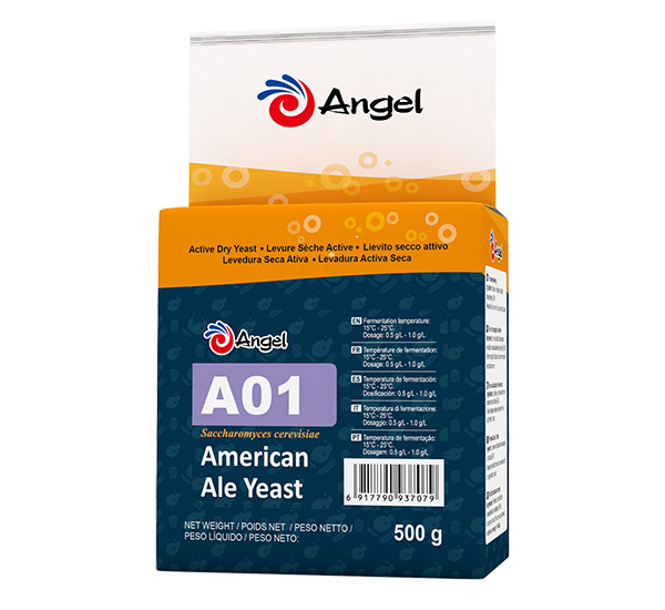 A01.jpg