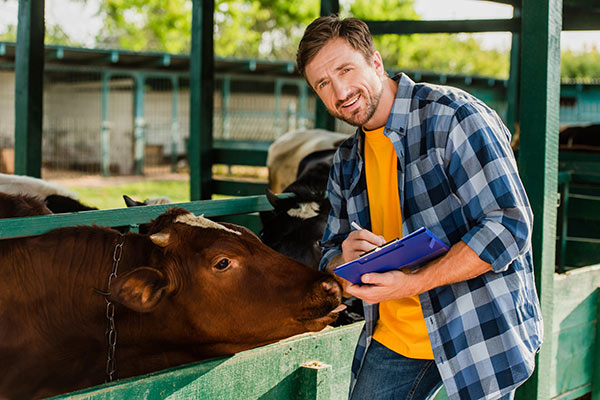 Discover How YeaFerm Enhances Ruminant Performance and Nutritional Value