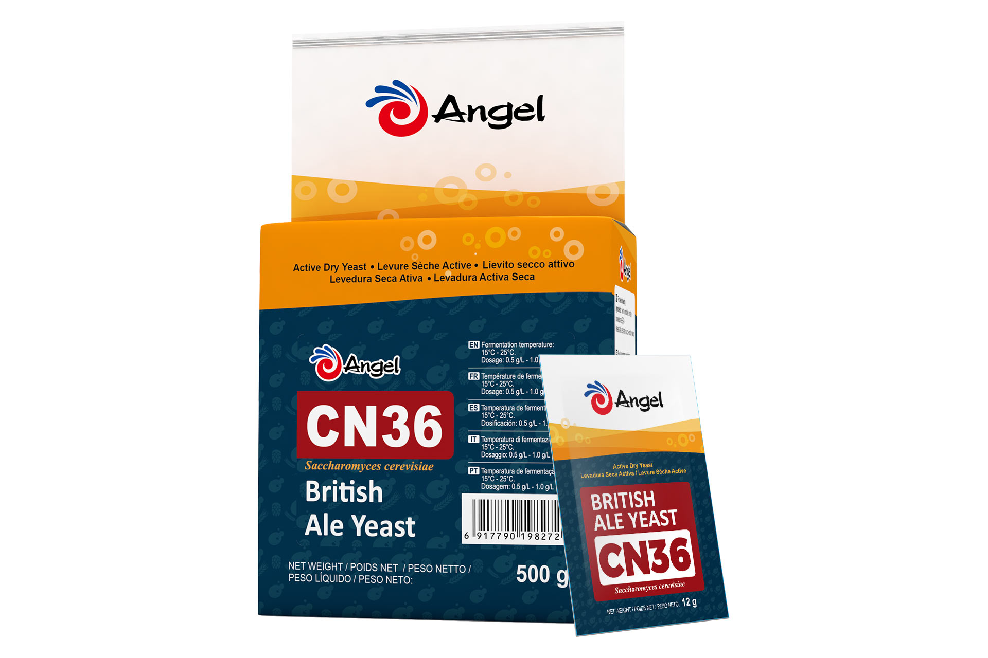 CN36.jpg