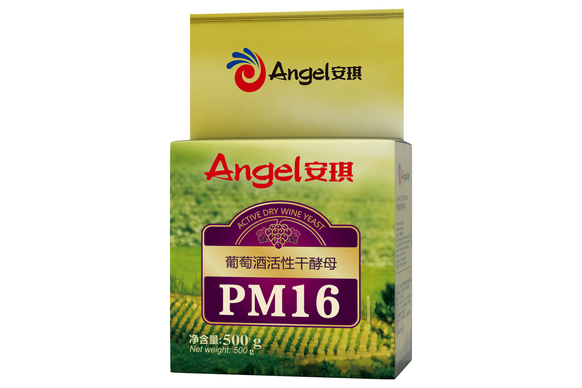 PM16.jpg