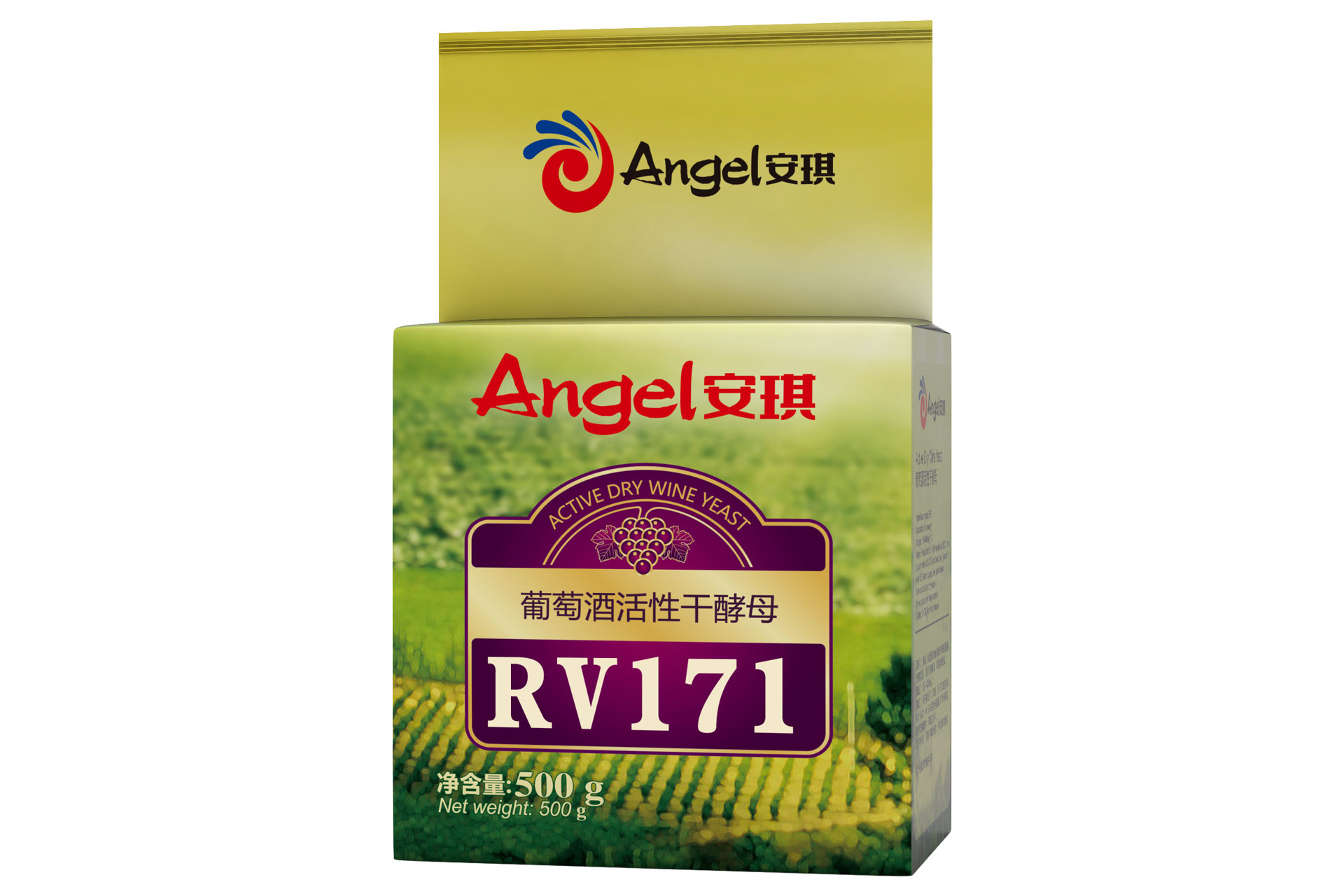 RV171.jpg