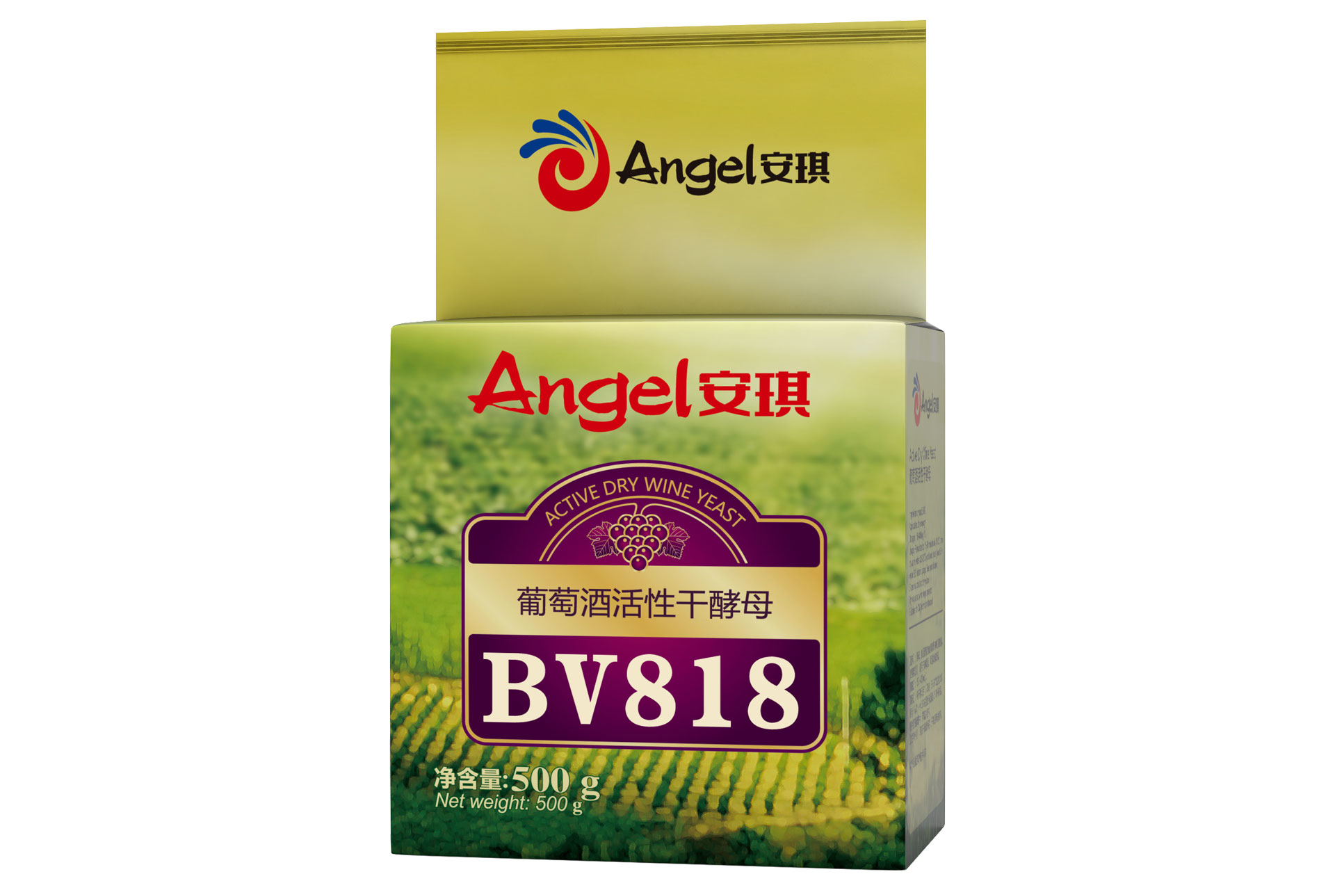 BV818.jpg