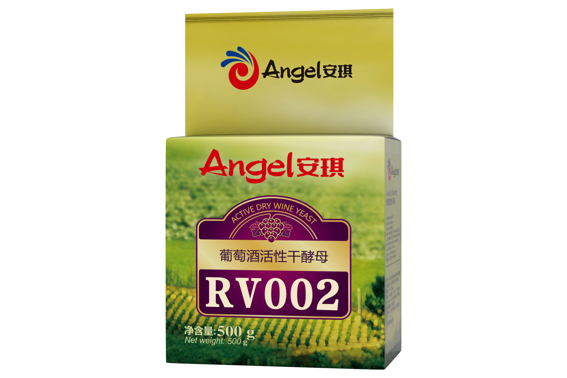 RV002.jpg