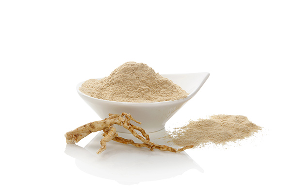 Fermentation + Ginseng: Microbes 