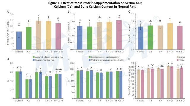 1_画板 1 副本 2.jpg 1_画板 1 副本 2.jpg