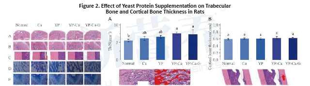 1_画板 1 副本 3.jpg 1_画板 1 副本 3.jpg