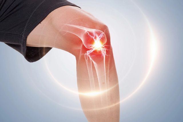 AngeoPro Yeast Protein: Unlocking New Pathways for Calcium Absorption and Bone Health