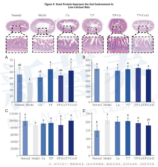 1_画板 1 副本 5.jpg 1_画板 1 副本 5.jpg