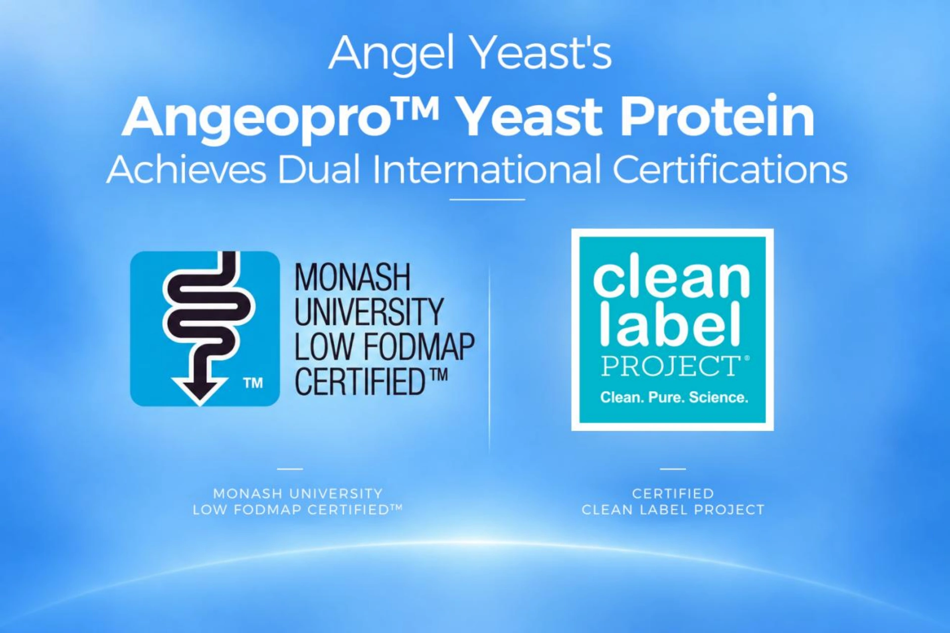 Angel Yeast's Angeopro™ Yeast Protein Achieves Dual International Certifications Angel Yeast's Angeopro™ Yeast Protein Achieves Dual International Certifications